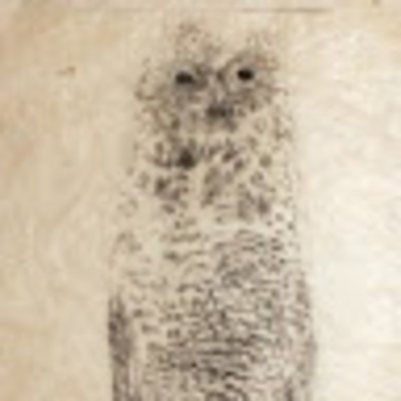 jaj36